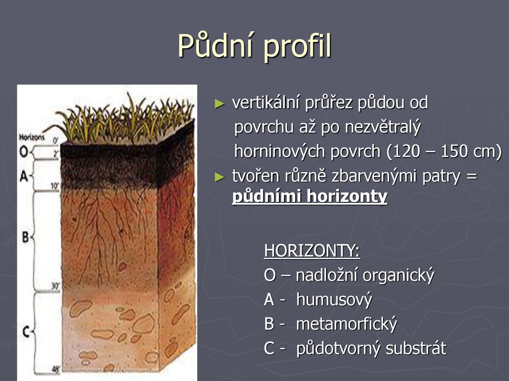 Pedosféra půdní obal země ppt stáhnout